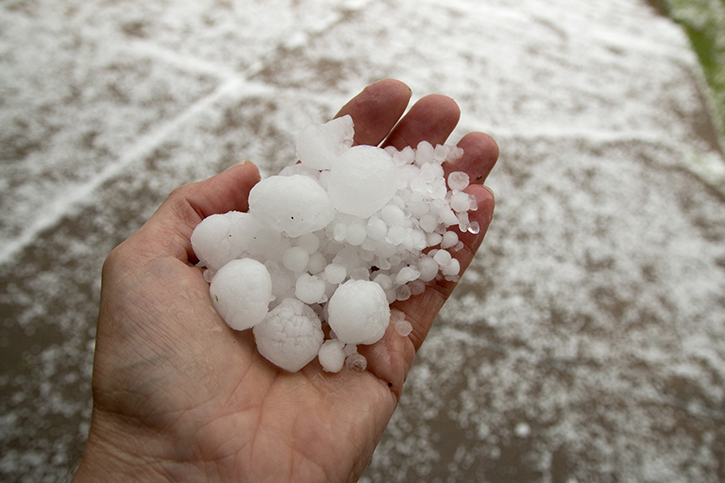 Large hail covers grassy ground