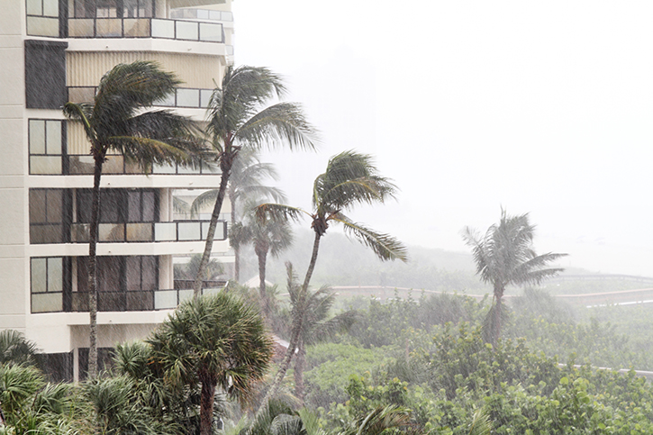 Windy condo location with trees blowing around